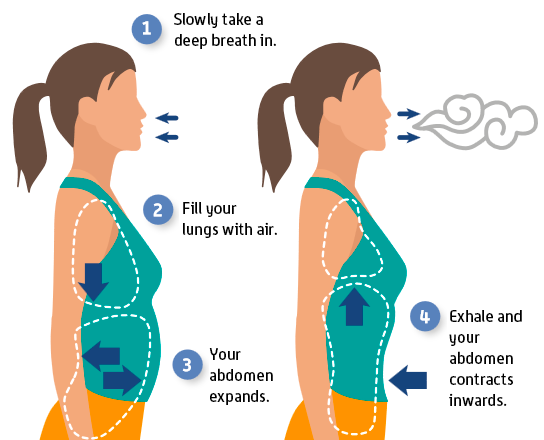 understanding-the-diaphragm-arizona-orthopedic-physical-therapy