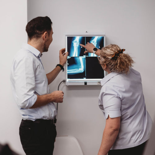 Health specialists diagnosing X-rays